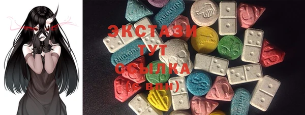 индика Осташков