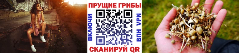 купить наркотик Олонец мега как зайти Галлюциногенные грибы мухоморы
